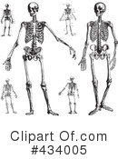 Skeleton Clipart #434005 by BestVector