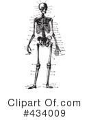 Skeleton Clipart #434009 by BestVector