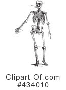 Skeleton Clipart #434010 by BestVector