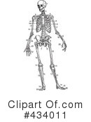 Skeleton Clipart #434011 by BestVector