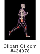 Skeleton Clipart #434078 by KJ Pargeter