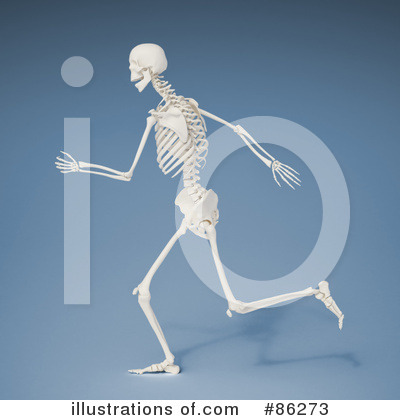 Skeleton Clipart #86273 by Mopic