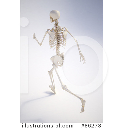 Royalty-Free (RF) Skeleton Clipart Illustration by Mopic - Stock Sample #86278