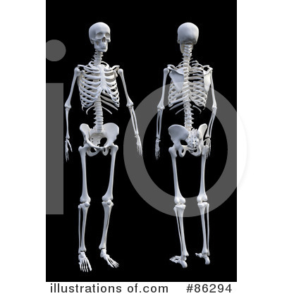 Royalty-Free (RF) Skeleton Clipart Illustration by Mopic - Stock Sample #86294