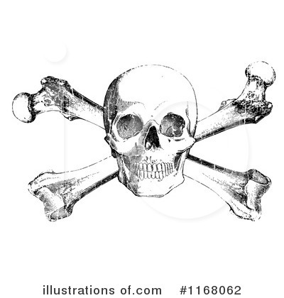 Skull Clipart #1168062 by BestVector