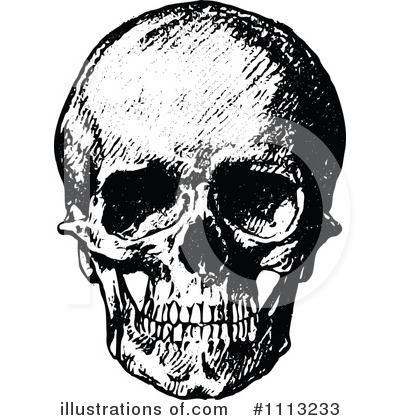 Bone Clipart #1113233 by Prawny Vintage