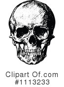 Skull Clipart #1113233 by Prawny Vintage