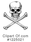 Skull Clipart #1225021 by AtStockIllustration