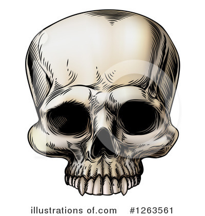 Human Skull Clipart #1263561 by AtStockIllustration