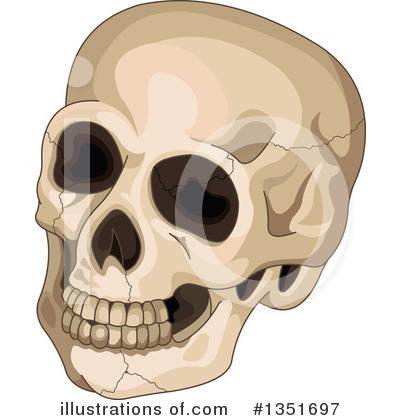 Human Skull Clipart #1351697 by Pushkin