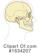 Skull Clipart #1634207 by NL shop