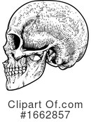 Skull Clipart #1662857 by AtStockIllustration