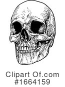 Skull Clipart #1664159 by AtStockIllustration