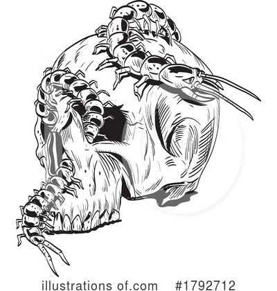 Royalty-Free (RF) Skull Clipart Illustration by patrimonio - Stock Sample #1792712