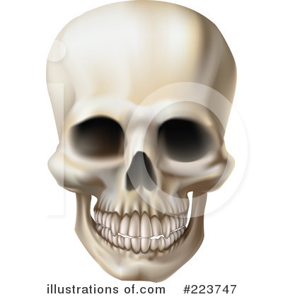 Royalty-Free (RF) Skull Clipart Illustration by AtStockIllustration - Stock Sample #223747