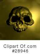 Skull Clipart #28946 by AtStockIllustration