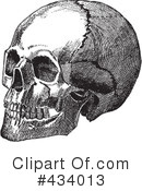 Skull Clipart #434013 by BestVector