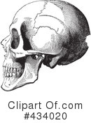 Skull Clipart #434020 by BestVector