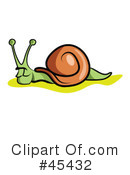 Snail Clipart #45432 by TA Images