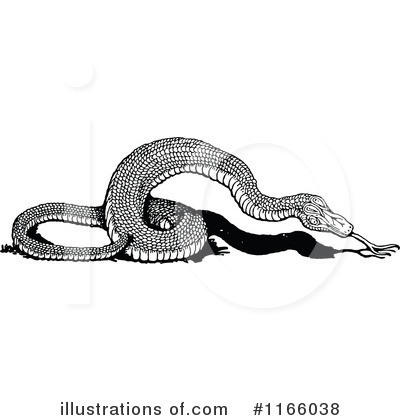 Royalty-Free (RF) Snake Clipart Illustration by Prawny Vintage - Stock Sample #1166038