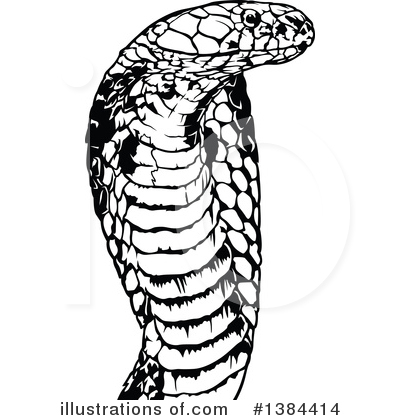 Cobra Snake Clipart #1384414 by dero