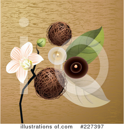 Orchid Clipart #227397 by Eugene