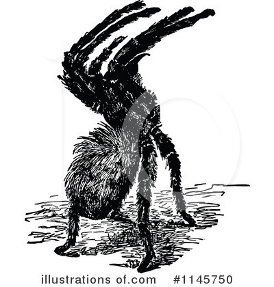 Royalty-Free (RF) Spider Clipart Illustration by Prawny Vintage - Stock Sample #1145750