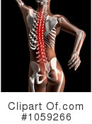 Spine Clipart #1059266 by KJ Pargeter