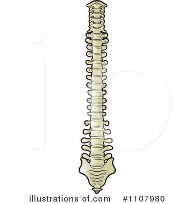 Royalty-Free (RF) Spine Clipart Illustration by Lal Perera - Stock Sample #1107980