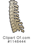 Spine Clipart #1146444 by Lal Perera