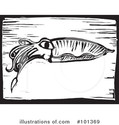 Squid Clipart #101369 by xunantunich