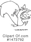 Squirrel Clipart #1473792 by toonaday