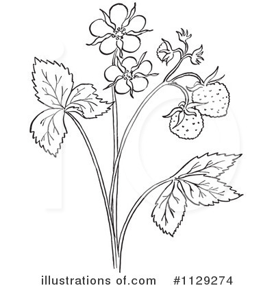 Royalty-Free (RF) Strawberry Clipart Illustration by Picsburg - Stock Sample #1129274