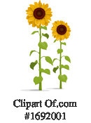 Sunflower Clipart #1692001 by Vector Tradition SM