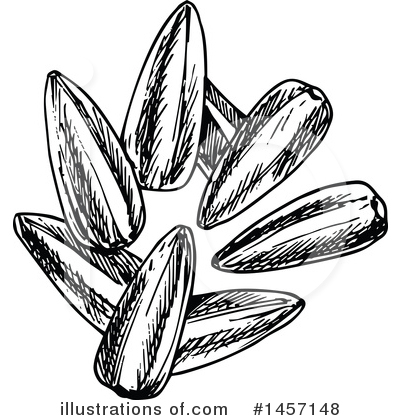 Sunflower Seed Clipart #1457148 by Vector Tradition SM
