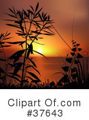 Sunset Clipart #37643 by dero