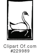 Swan Clipart #229989 by xunantunich