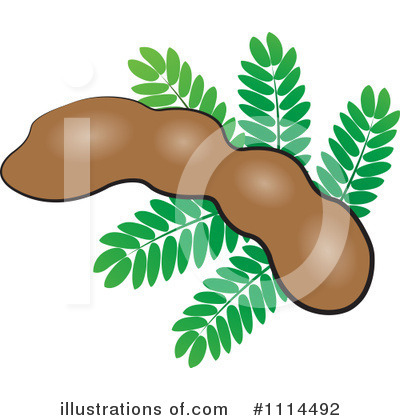 Tamarind Clipart #1114492 by Lal Perera