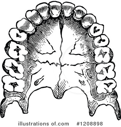 Royalty-Free (RF) Teeth Clipart Illustration by Prawny Vintage - Stock Sample #1208898