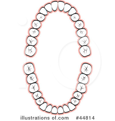 Dental Clipart #44814 by Lal Perera
