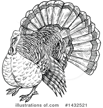 Turkey Bird Clipart #1432521 by Vector Tradition SM