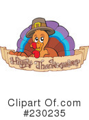 Thanksgiving Turkey Clipart #230235 by visekart