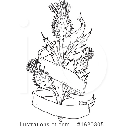 Royalty-Free (RF) Thistle Clipart Illustration by patrimonio - Stock Sample #1620305