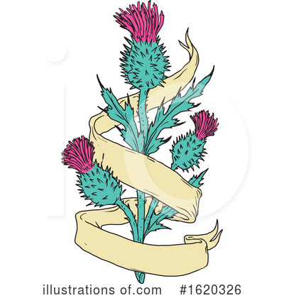 Royalty-Free (RF) Thistle Clipart Illustration by patrimonio - Stock Sample #1620326
