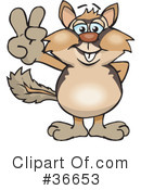Thumbs Up Clipart #36653 by Dennis Holmes Designs