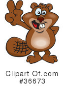 Thumbs Up Clipart #36673 by Dennis Holmes Designs