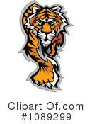 Tiger Clipart #1089299 by Chromaco