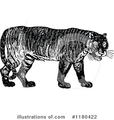 Royalty-Free (RF) Tiger Clipart Illustration by Prawny Vintage - Stock Sample #1180422