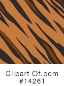 Tiger Clipart #14261 by AtStockIllustration