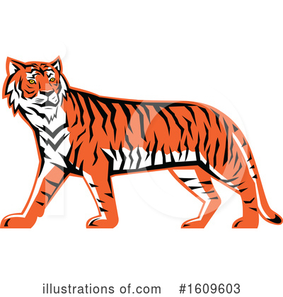 Royalty-Free (RF) Tiger Clipart Illustration by patrimonio - Stock Sample #1609603